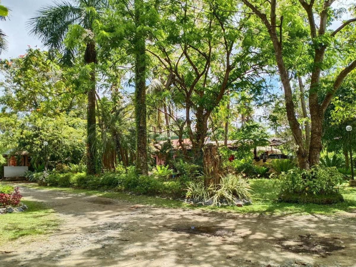 Reddoorz Plus @ Costa Roca Balamban Cebu Exterior photo